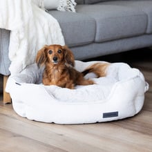 Luxe Boucle Shell Pet Bed